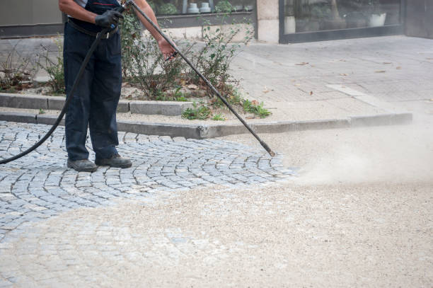 Best Gutter Cleaning  in North Redington Beach, FL